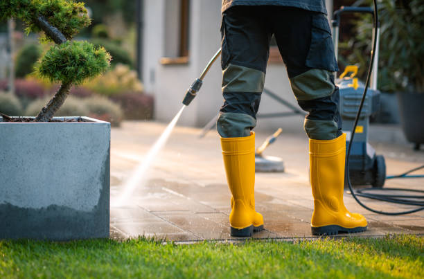 Best Local Pressure Washing Services  in Bear, DE